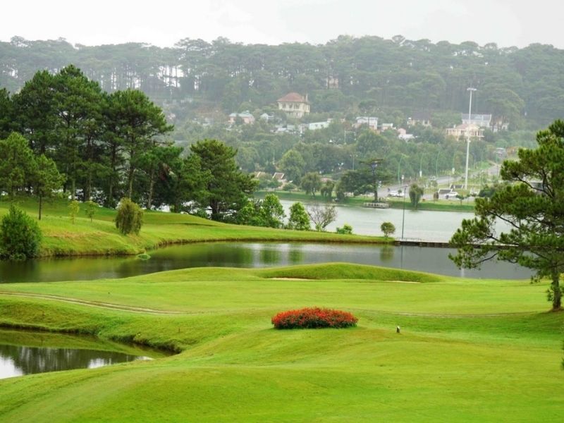 sân golf mường thanh diễn lâm