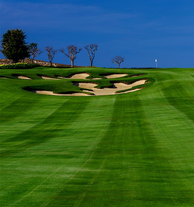 sân golf KN Links Cam Ranh the oasis