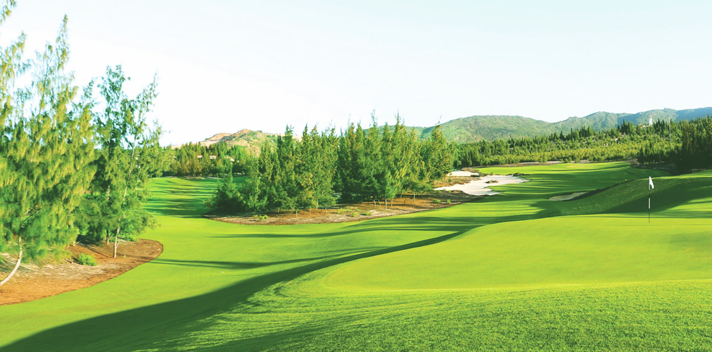 sân golf FLC Quy Nhơn